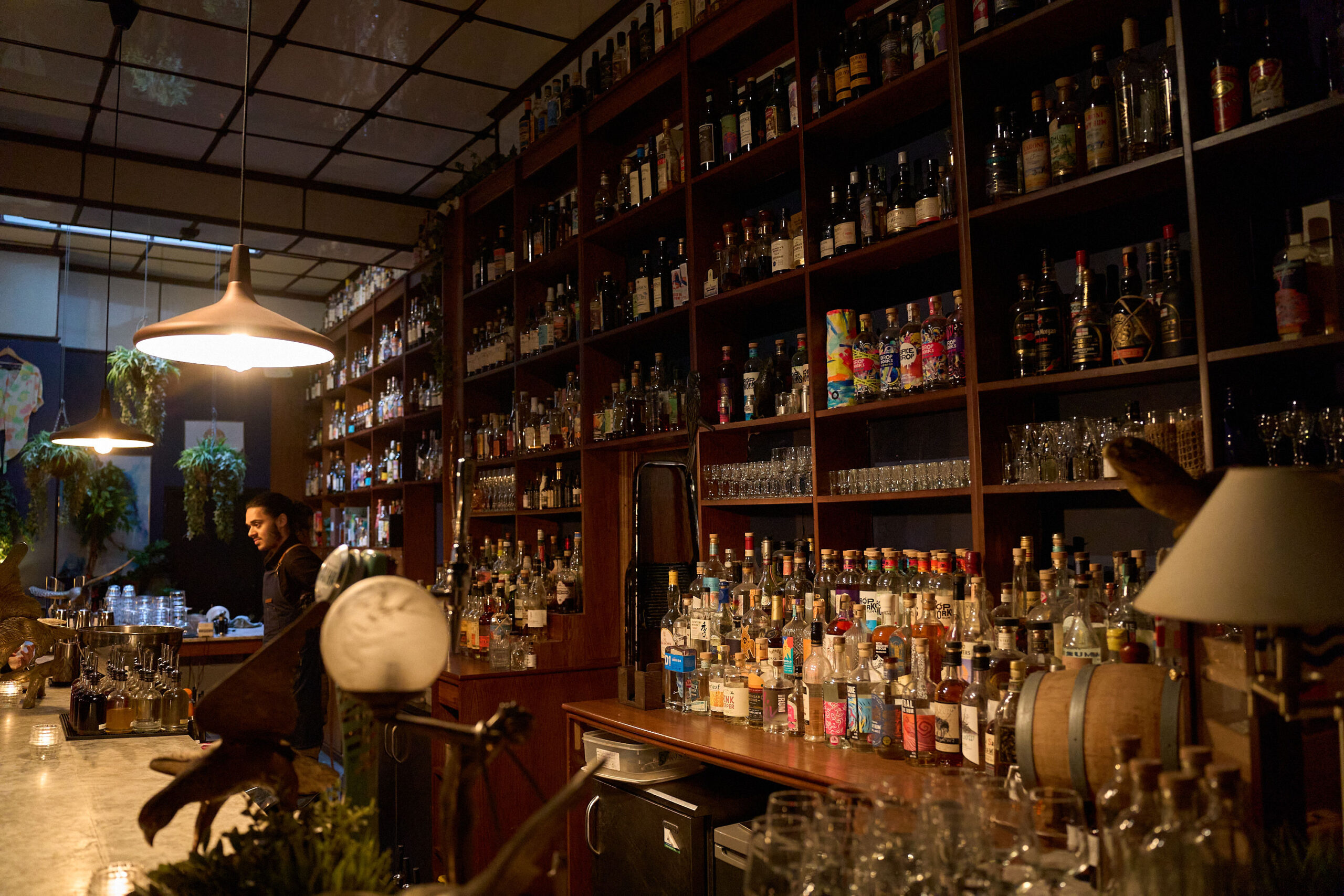 Black Parrot Bar — interior photo 1