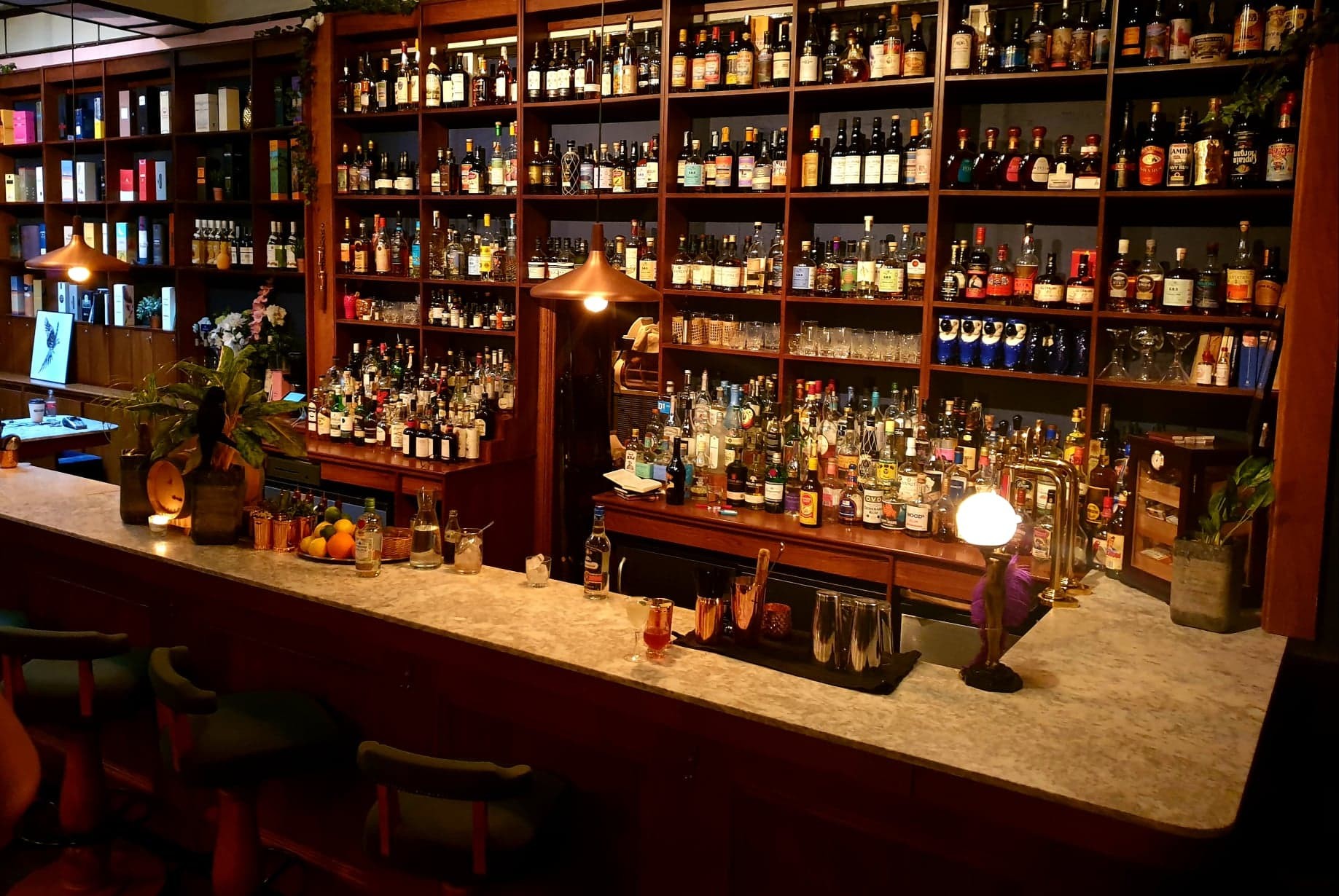 Black Parrot Bar — interior photo 2