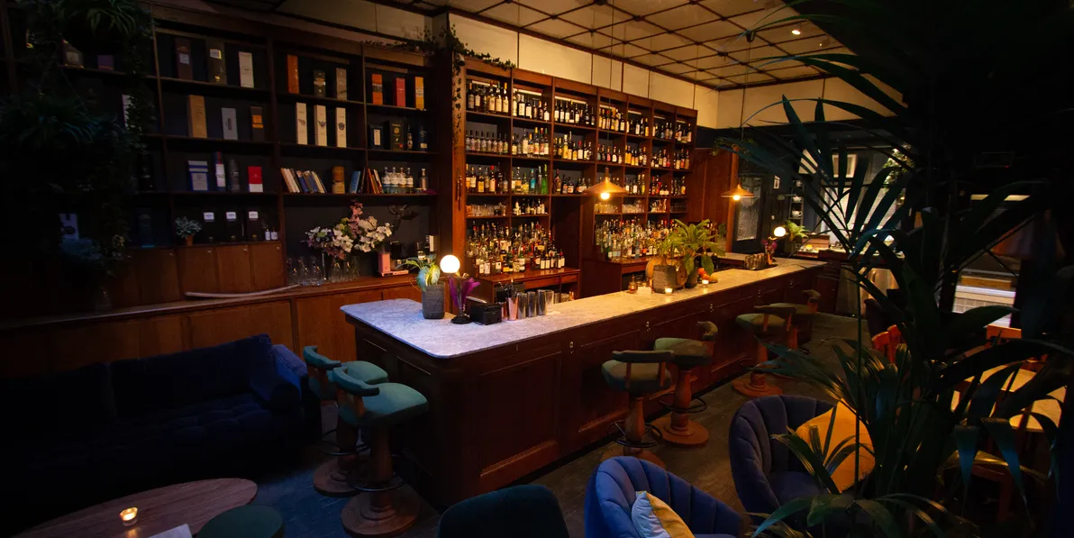 Black Parrot Bar — interior photo 3