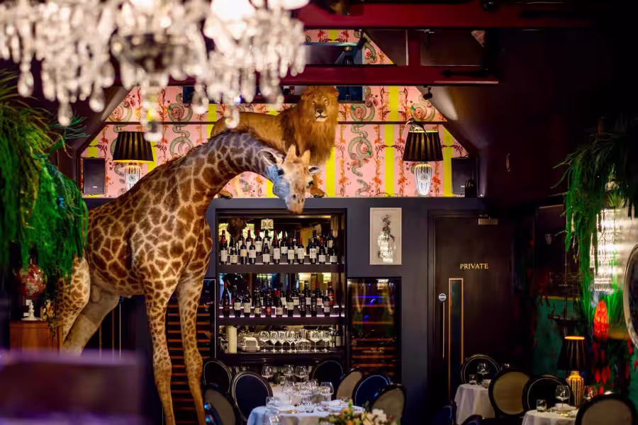 Hux Bar — interior photo 1